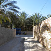Tunesien-04-2012-124.JPG