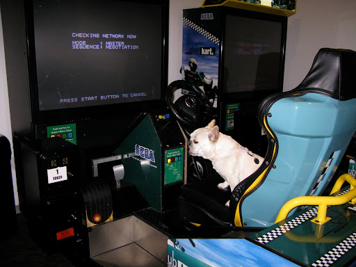 Hey Franny - do you want to play some arcade games?  Go get some tokens.