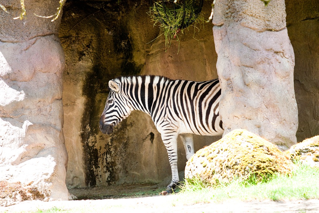 [20120716-IMG_6757-2%255B4%255D.jpg]