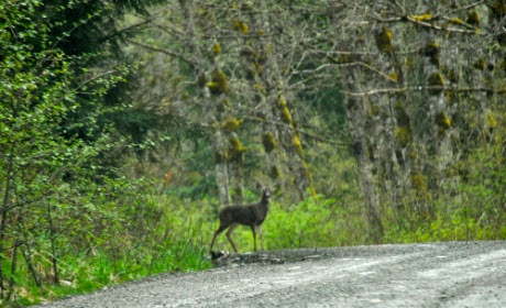 DSC_0084.jpg DSC 0084
