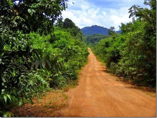 Lethem_Linden_Road_DSC06599