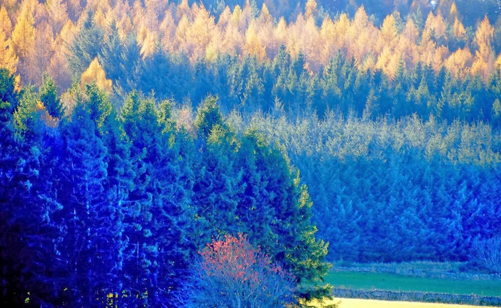 [26%2520Nov%25203%255B3%255D.jpg]