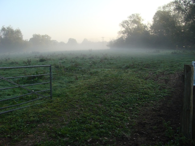 [DSC00533%255B4%255D.jpg]