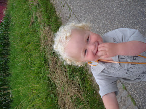 DSC03214.JPG