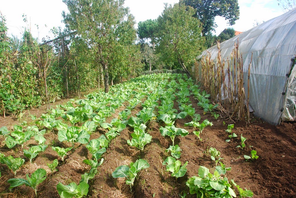 [DSC_0823%255B4%255D.jpg]