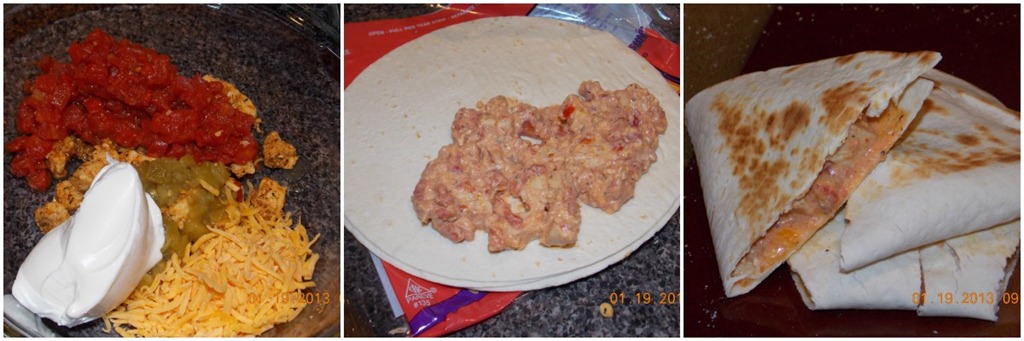 [del-monte-chicken-quesadilla%255B4%255D.jpg]
