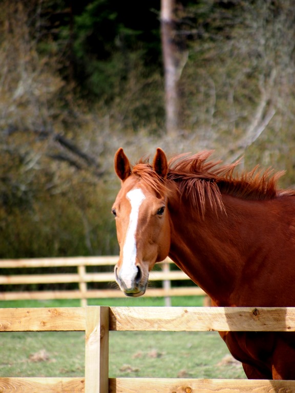 [13%2520May%252011%252013-05-2013%252015-32-54%255B3%255D.jpg]