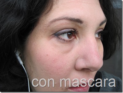 IMG_4219 IMG_4219