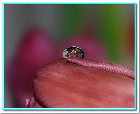 Gota de imaginação Gota de imaginação
