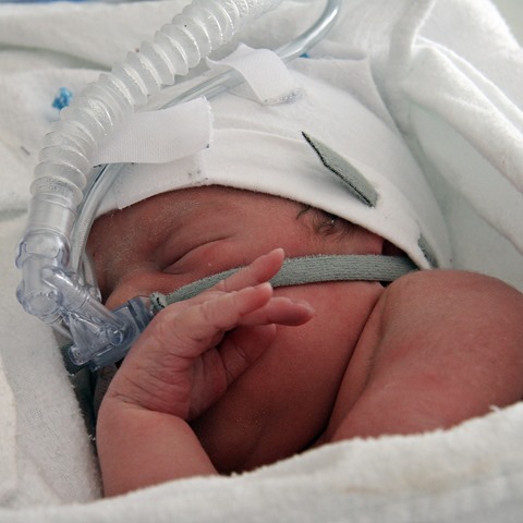 [IMG_6881-%255B4%255D.jpg]