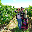 Grape Picking Dominique Portet two girls.jpg Grape Picking Dominique Portet two girls.jpg