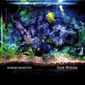 RickWilhite_AnalogAquarium RickWilhite_AnalogAquarium