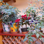 DSCN7066.JPG