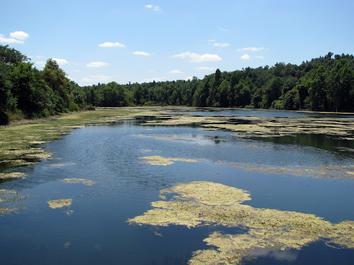 Valley Water Mill Lake. (Photo credit: Jeremy Shreckhise)