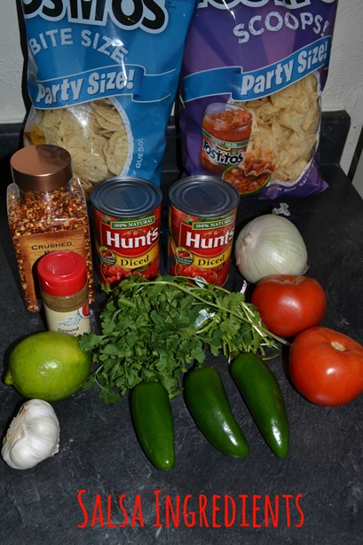 Salsa Ingredients