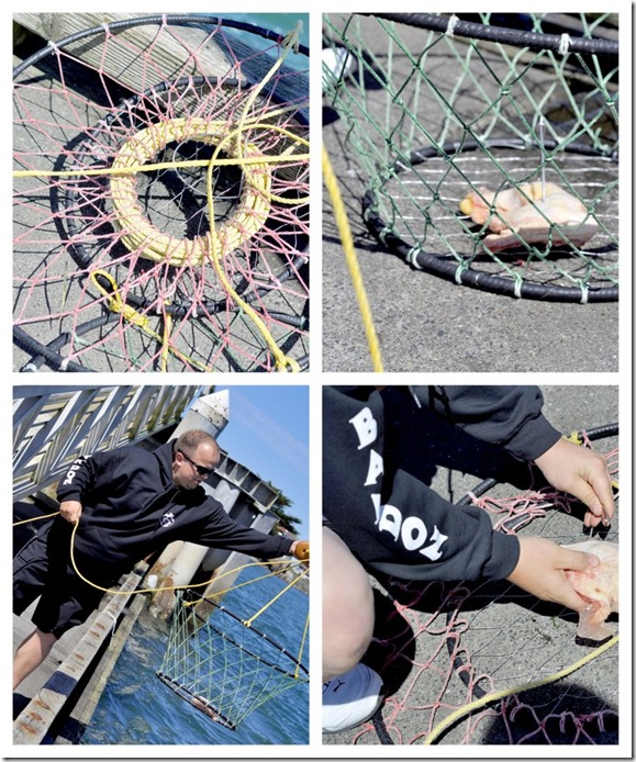 coos bay crabbing