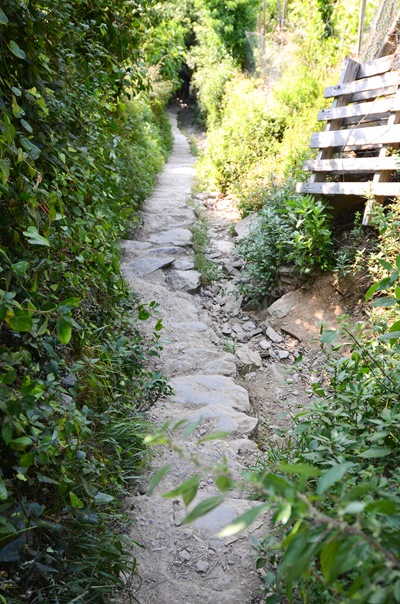 Vernazza walkway