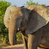 KrugerPart2 KrugerPart2
