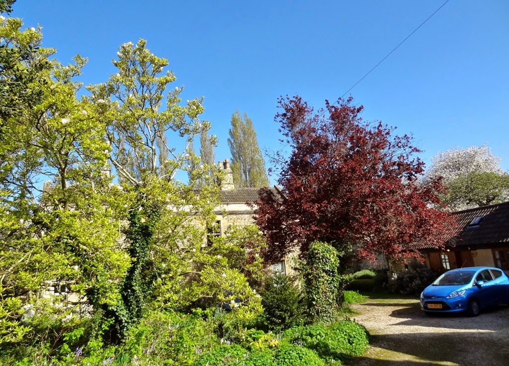 [DSC04906%2520%25281300x937%2529%255B4%255D.jpg]