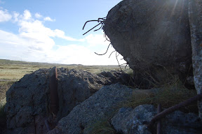 DSC_0485.JPG