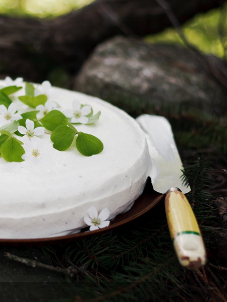 [2cake2.jpg]