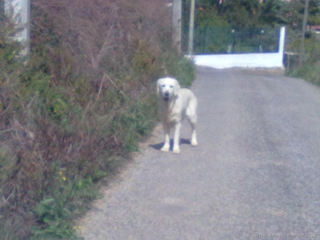 [12042012915%255B3%255D.jpg]