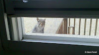 2011-03-11_13-42-56_944.jpg