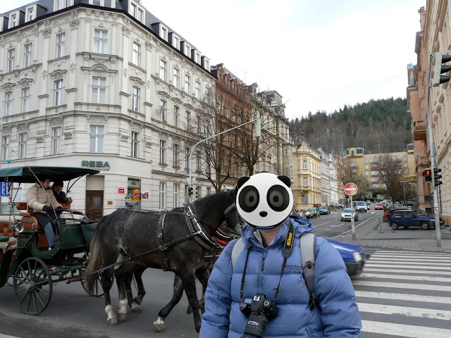 20080320Czech070.JPG