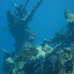  Scuba Dive Buck Island Reef
