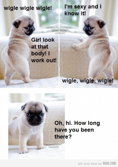 [dog%255B6%255D.jpg]