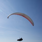 DSC01920.JPG