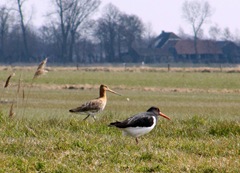 IMG_1826