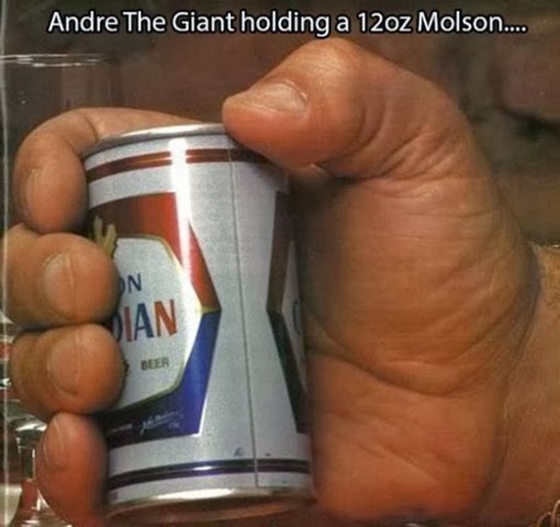 [andre-giant-facts-014%255B2%255D.jpg]