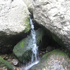 161.jpg