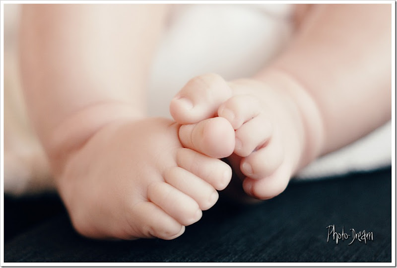 DVM_4652 DVM_4652