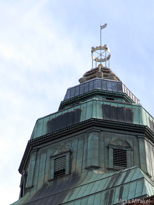 _DSC0237v _DSC0237v