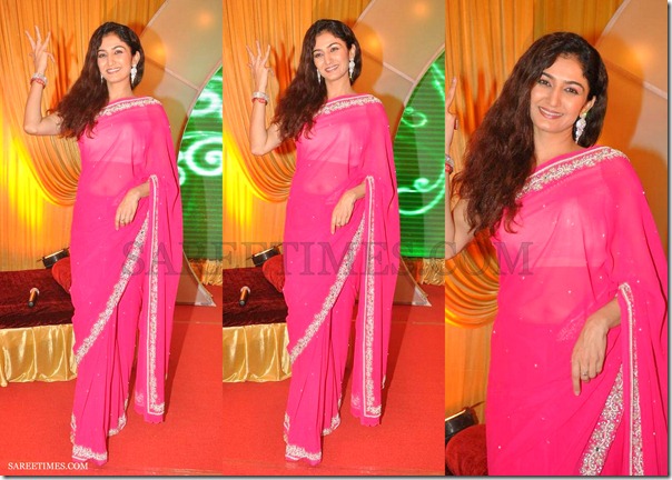 Pink_Embroidery_Saree