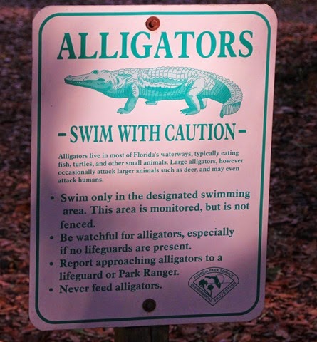 Alligator Sign