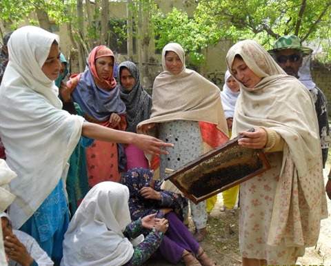 Skardu Honey Bee Training_Pakistan_April 2011 (16)