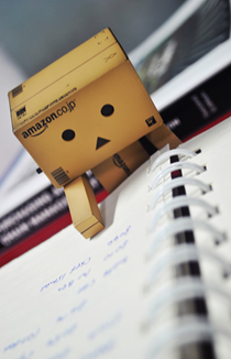 danbo-studies