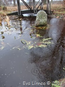 IMG_8545 IMG_8545