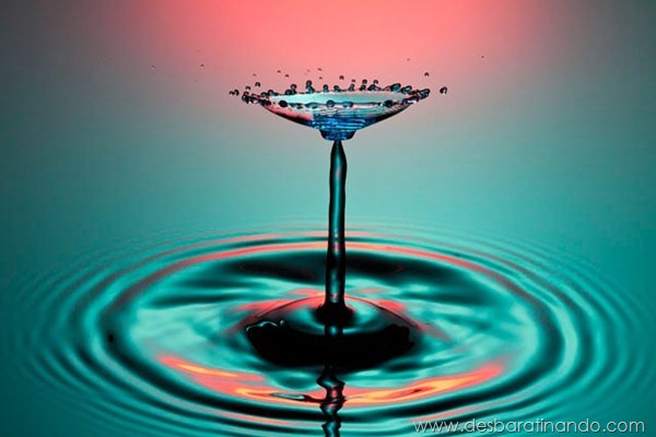 liquid-drop-art-gotas-caindo-foto-velocidade-hora-certa-desbaratinando (76) liquid-drop-art-gotas-caindo-foto-velocidade-hora-certa-desbaratinando (76)