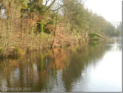 2012_01011janv20120001