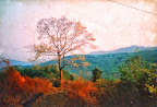 myphoto12.jpg