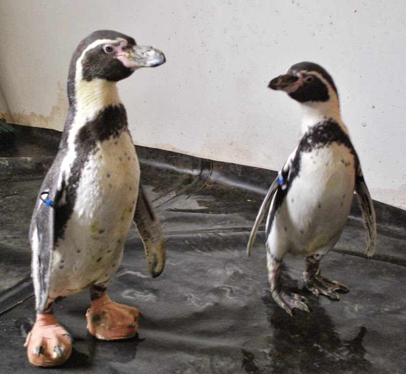 [DSC_0730-001%255B5%255D.jpg]