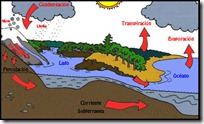 ciclo agua pintaryjugar