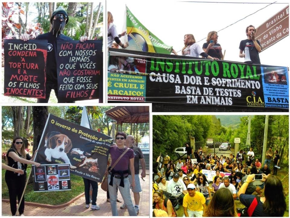 [Resgate-Royal%2520%25285%2529%255B2%255D.jpg]