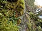 20130220_Light1_013.jpg