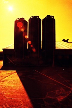 Farm-Life-24---XPRO