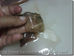 IMG00142 IMG00142